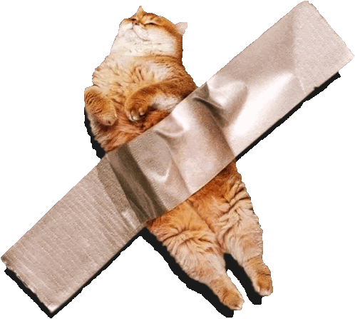 A cat held in place with a strip of tape